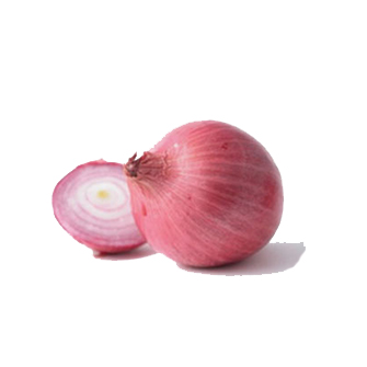 Big onion