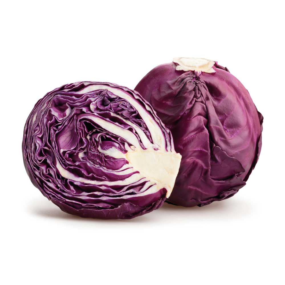 Red - Cabbage